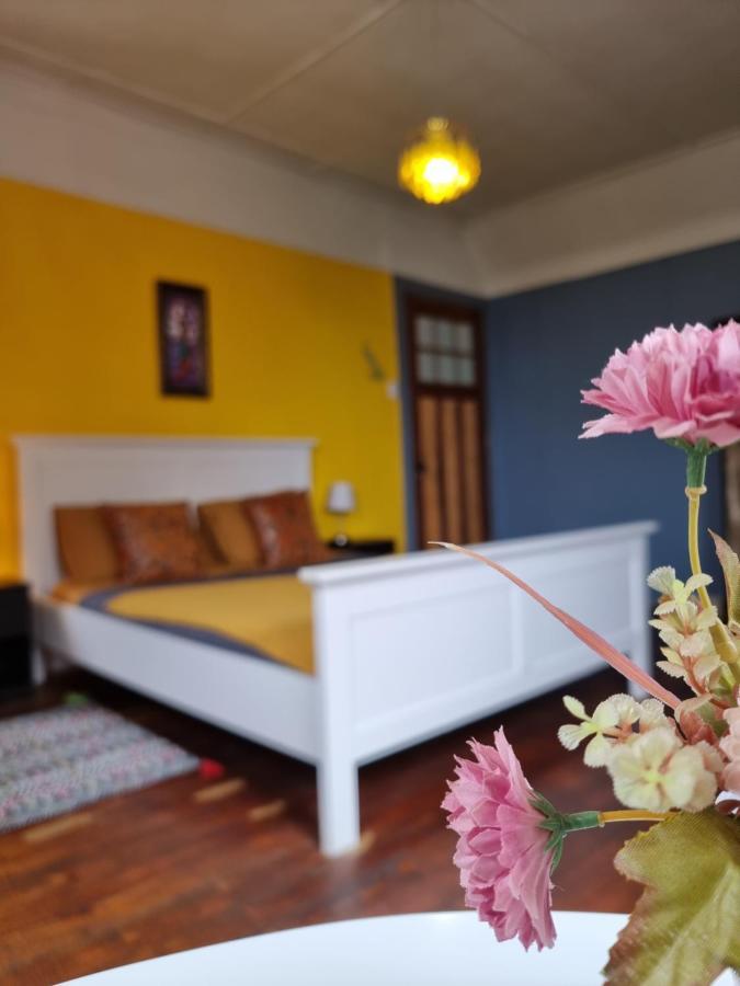 Meraki Hostel - Cerro Alegre - فالبارايسو المظهر الخارجي الصورة